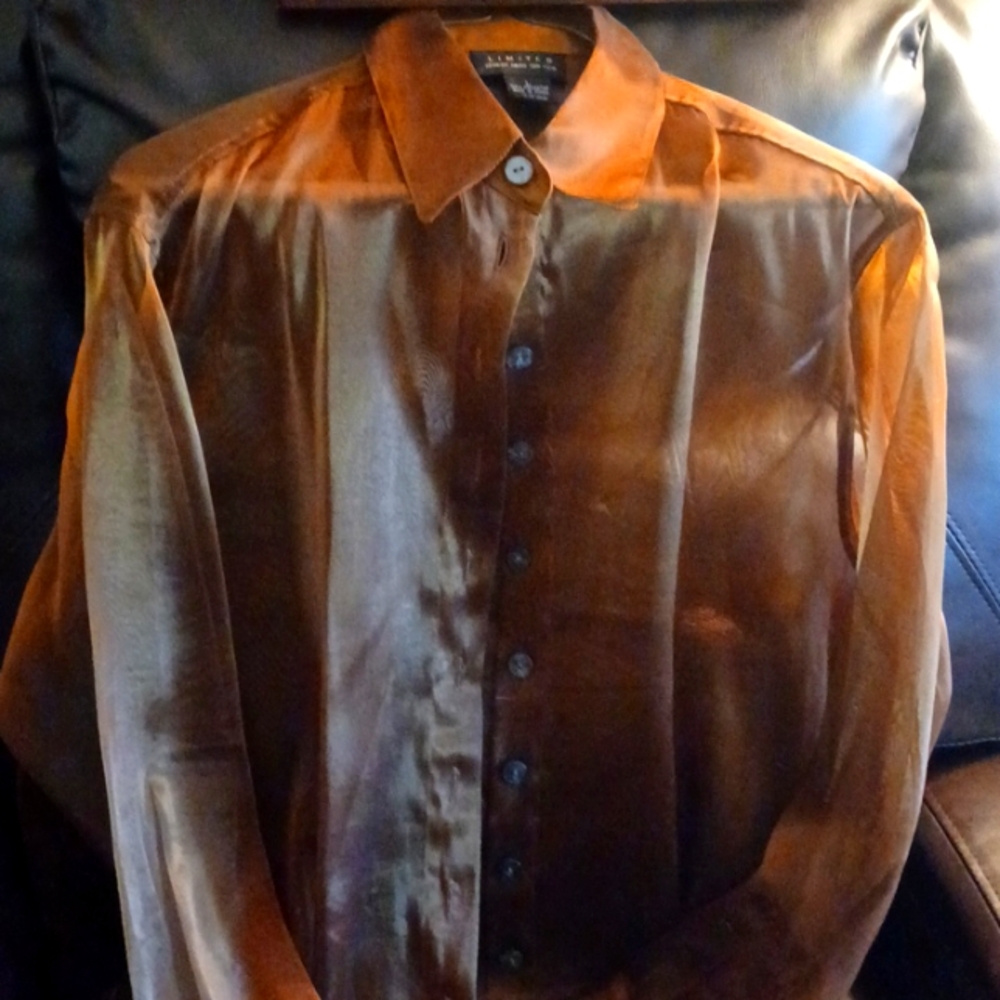 Blouse/Sheer